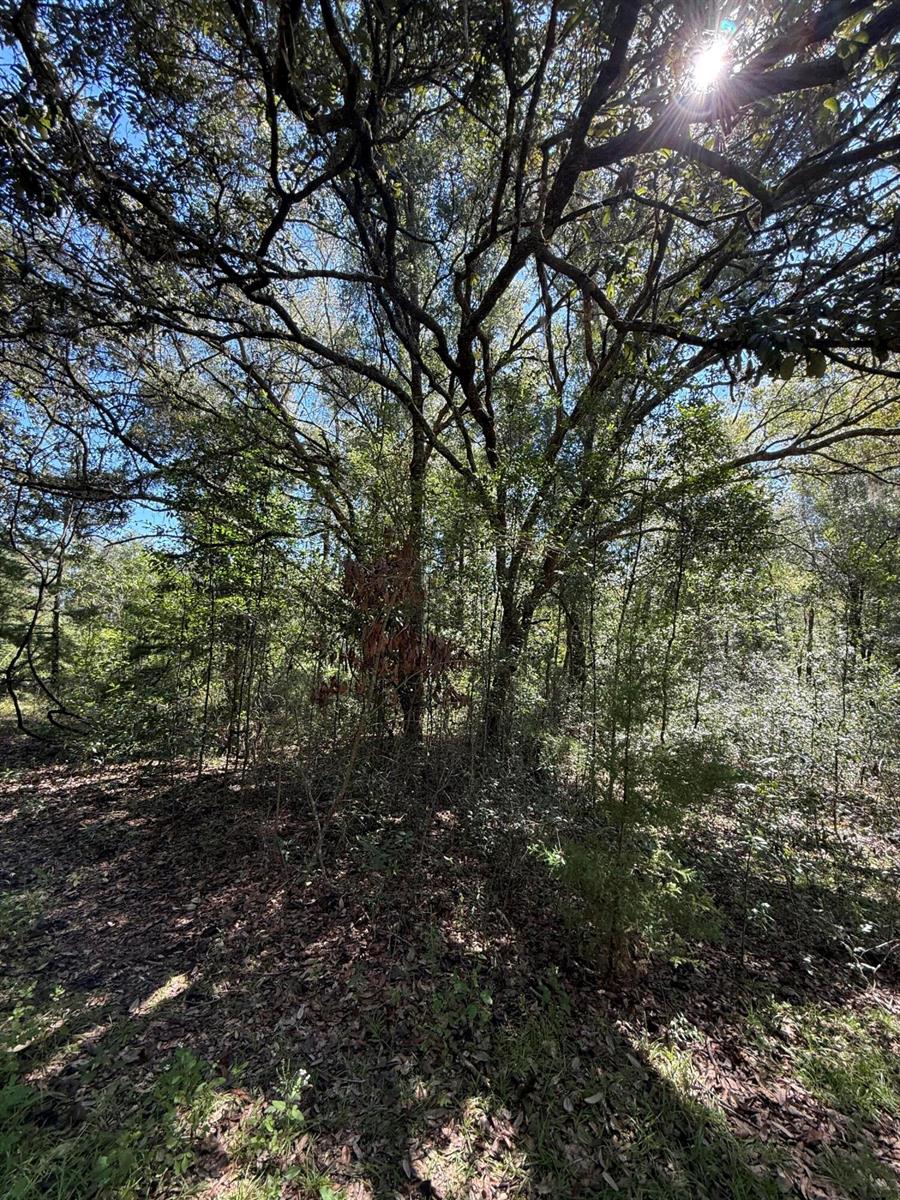   / 0  sq. ft. $ 2026-10-19 0 foto