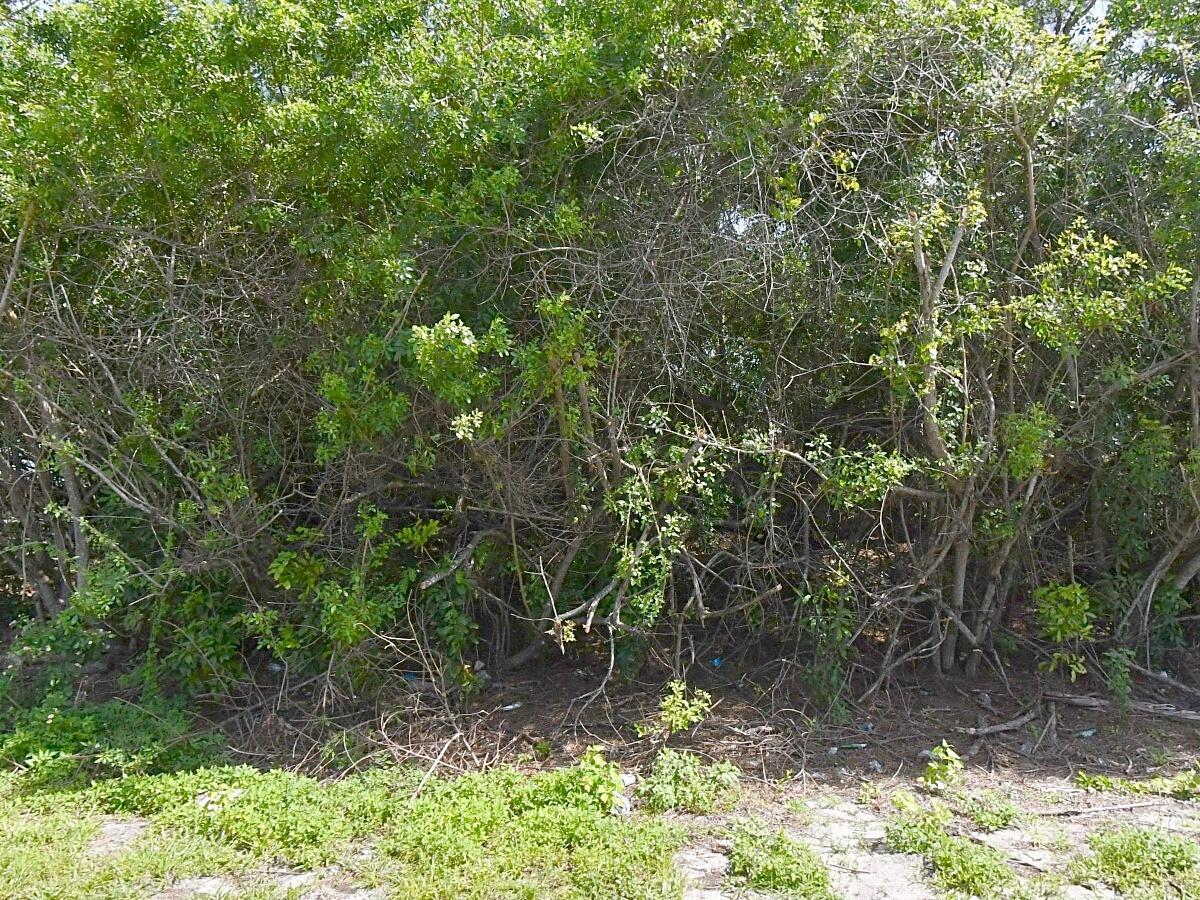   / 0  sq. ft. $ 2026-10-02 0 foto