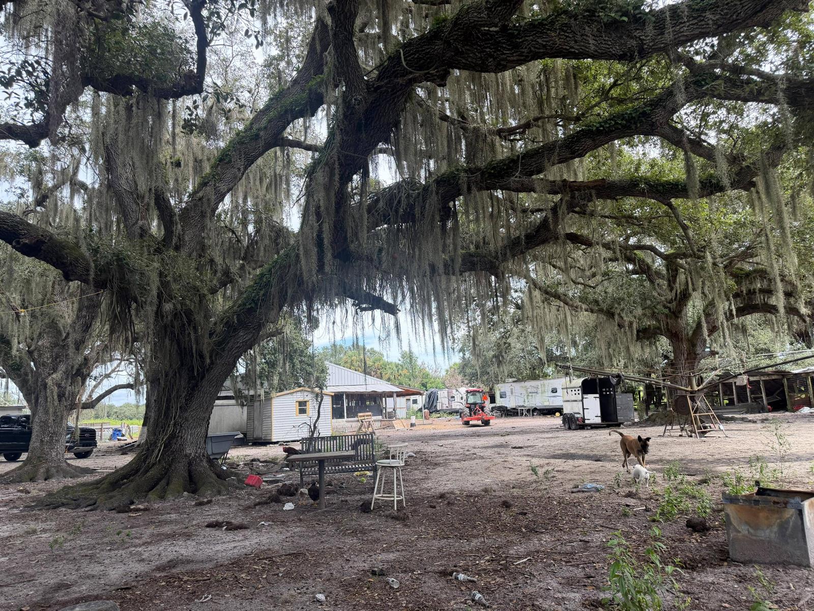 See details / 0 sq. ft. $ 2026-10-04 0 Photo