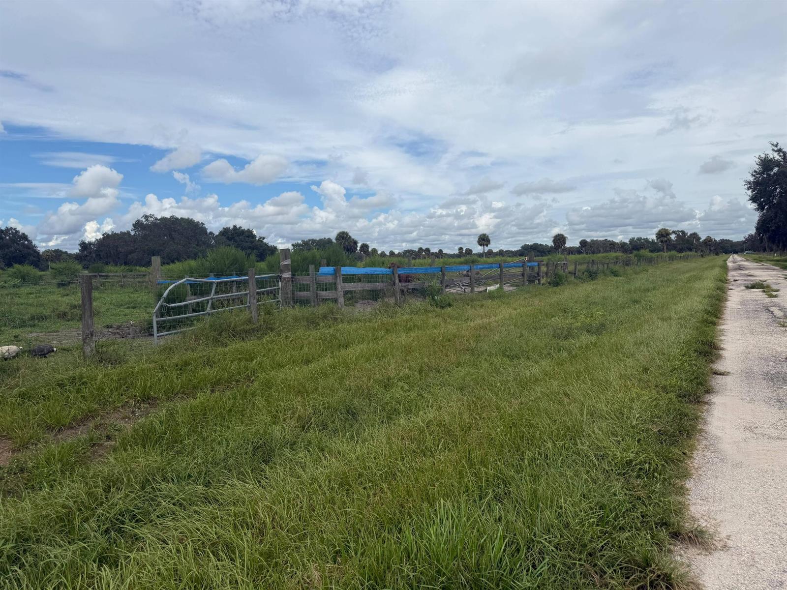 See details / 0 sq. ft. $ 2026-10-04 0 Photo