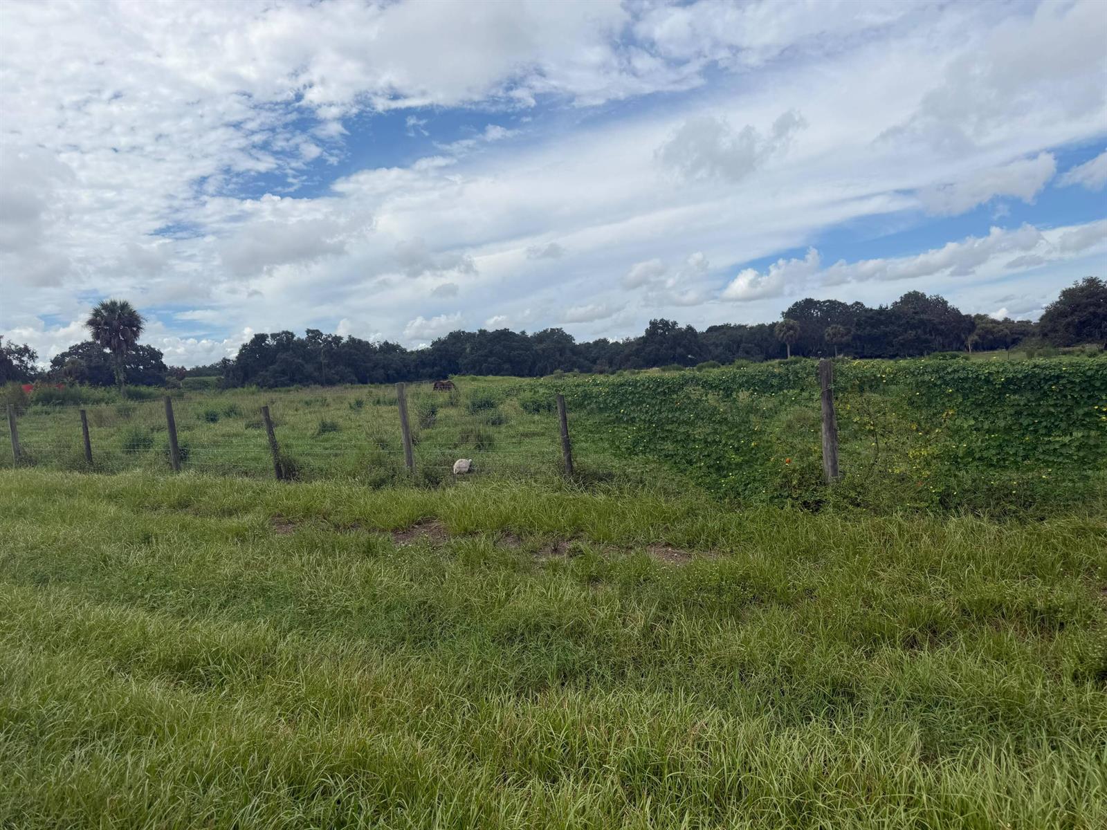 See details / 0 sq. ft. $ 2026-10-04 0 Photo