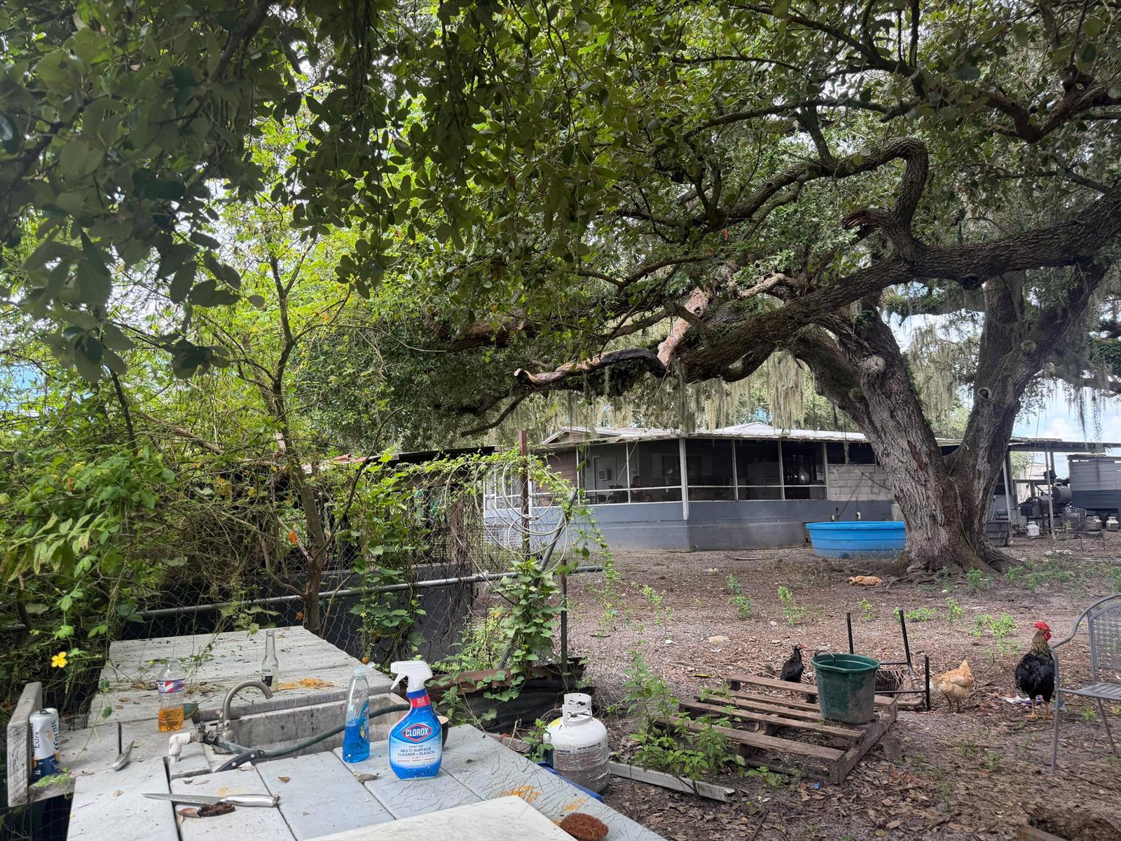 See details / 0 sq. ft. $ 2026-10-04 0 Photo