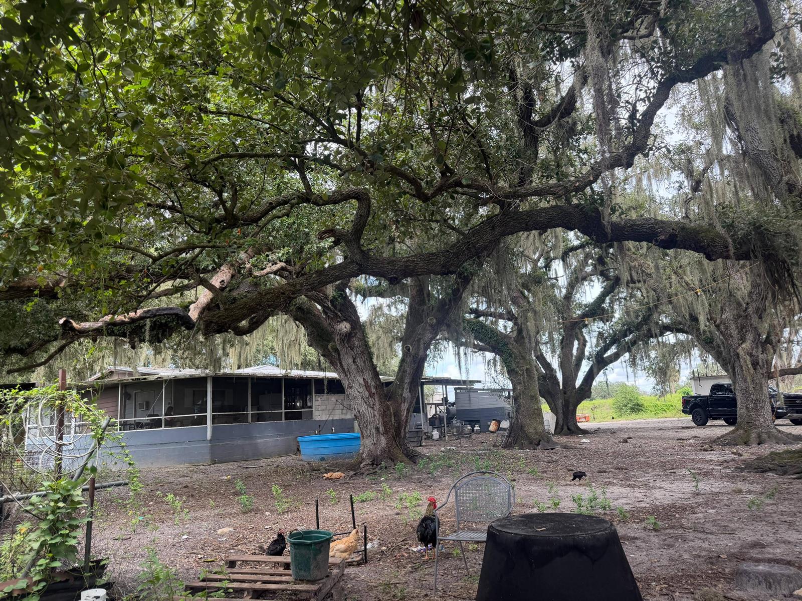 See details / 0 sq. ft. $ 2026-10-04 0 Photo