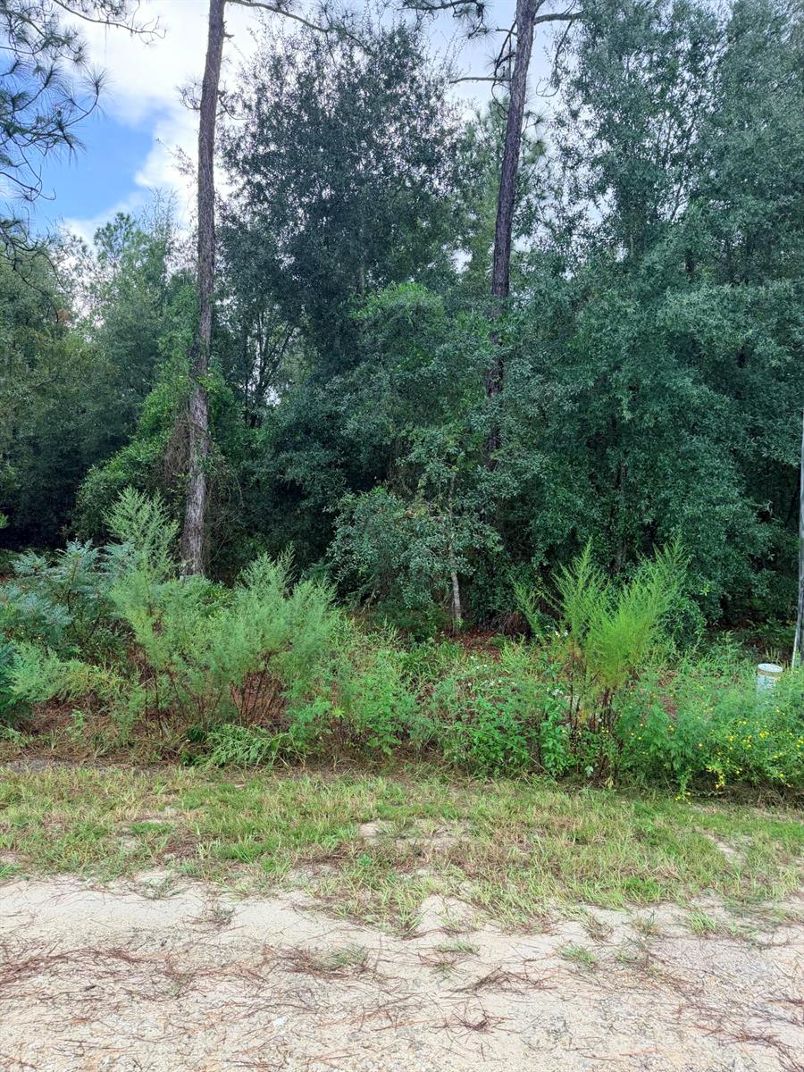   / 0  sq. ft. $ 2026-10-10 0 foto