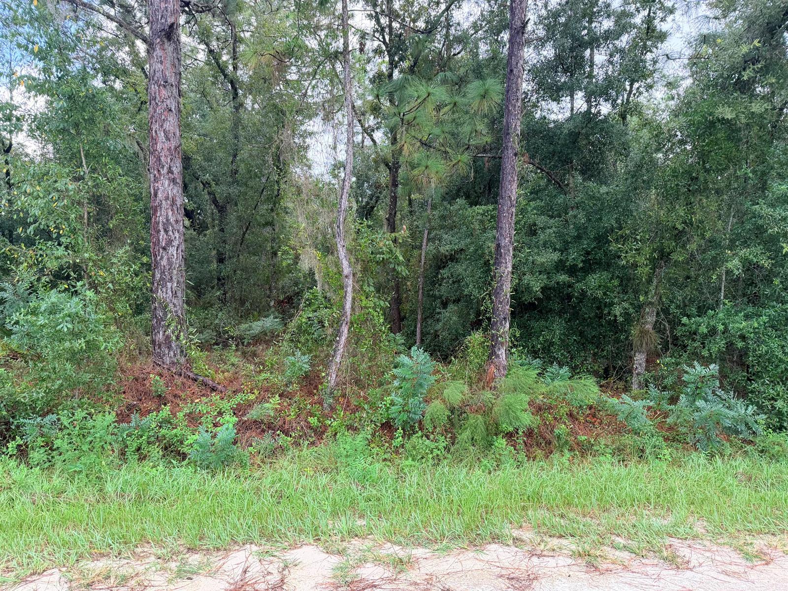   / 0  sq. ft. $ 2026-10-10 0 foto