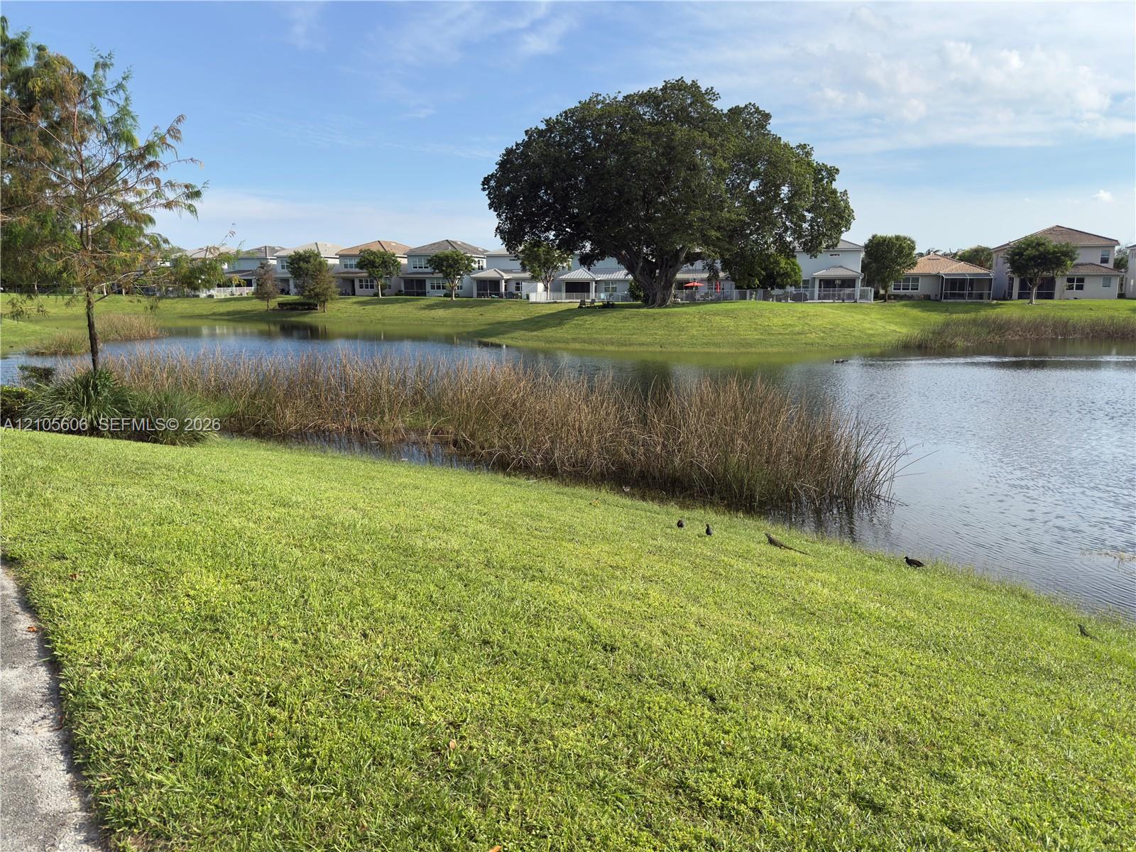205 1 / 1 672 sq. ft. $ 2026-10-13 0 Photo