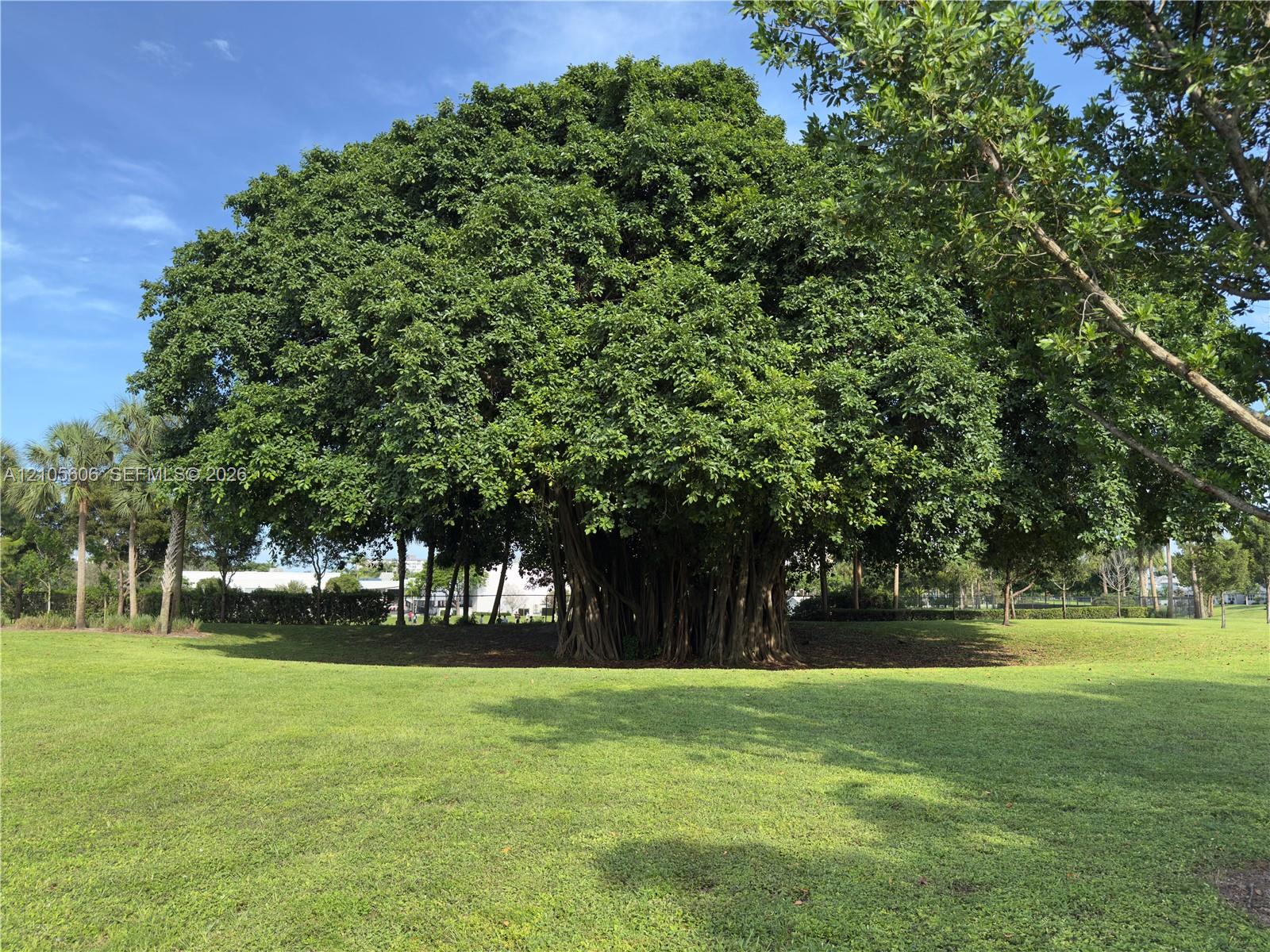 205 1 / 1 672 sq. ft. $ 2026-10-13 0 Photo
