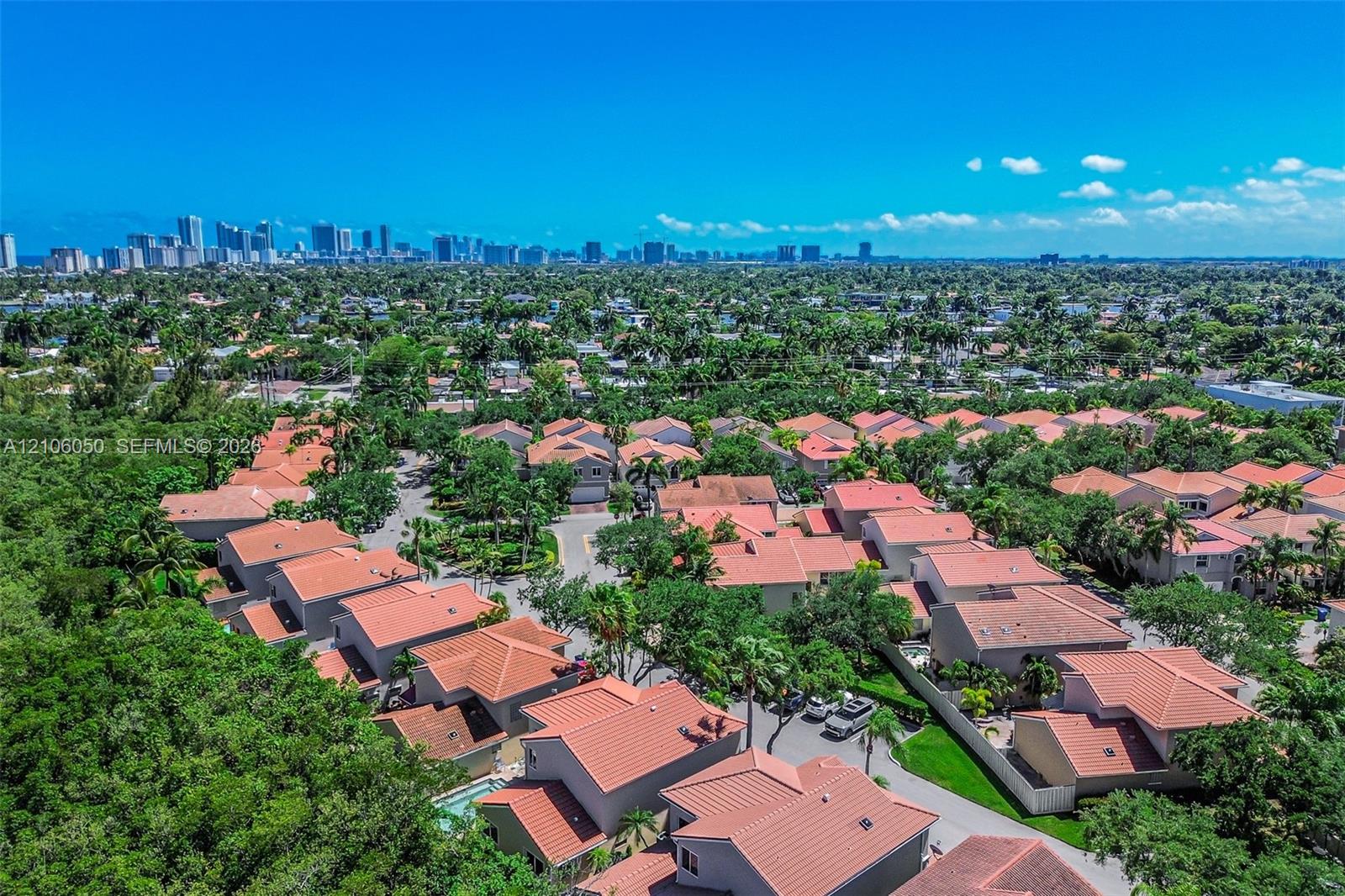 Aerial perspective featuring low-density residential neighborhood architecture, clay tile roofing, and prominent urban skyline horizon