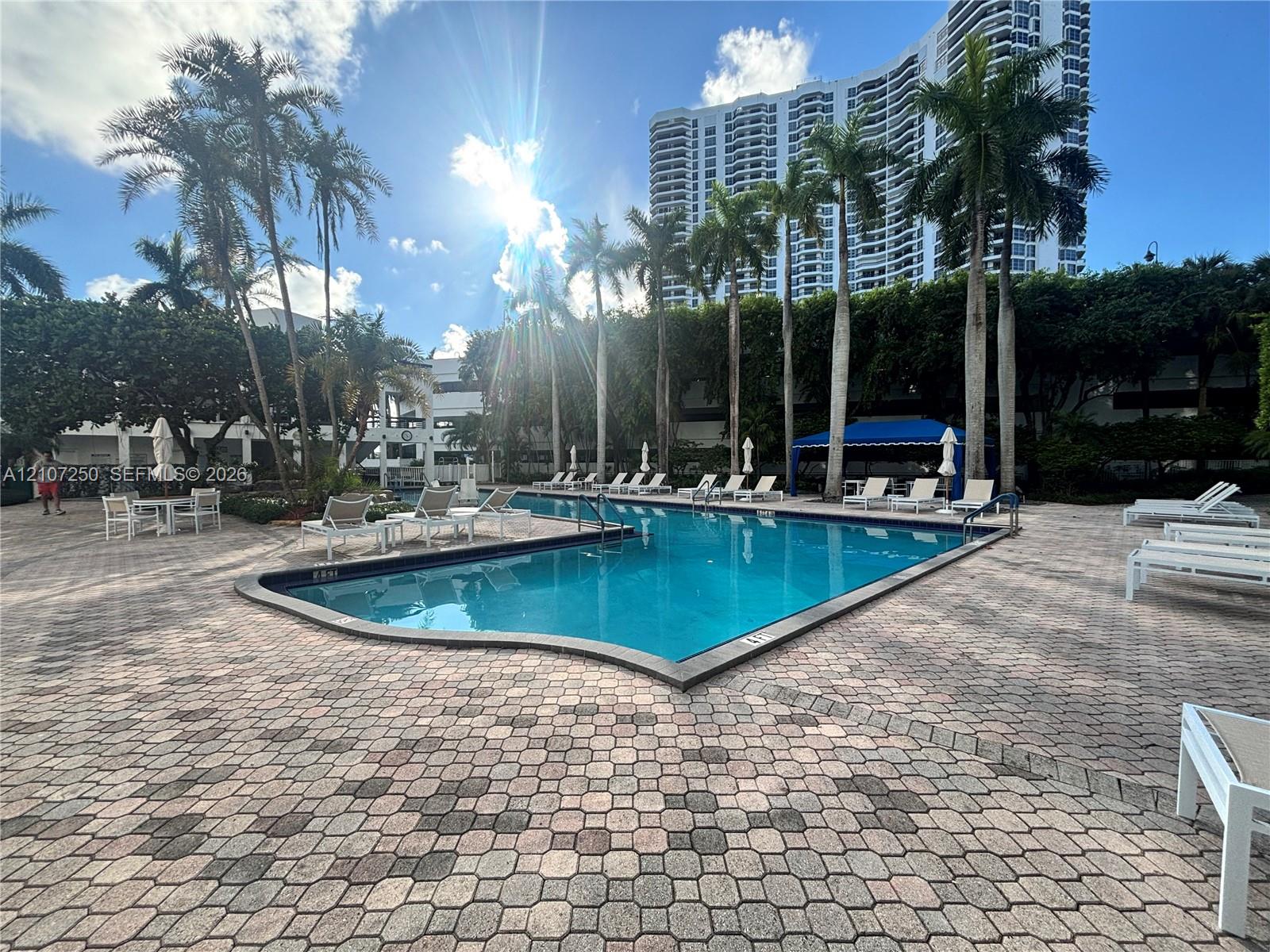 Swimming pool with a paved deck, mature palm trees, and a blue canopy structure