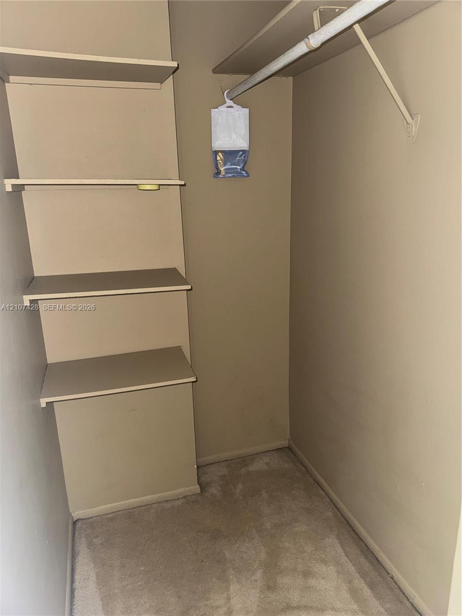 Storage closet featuring carpeted flooring, built-in shelving, and a metal garment rod with an overhead shelf