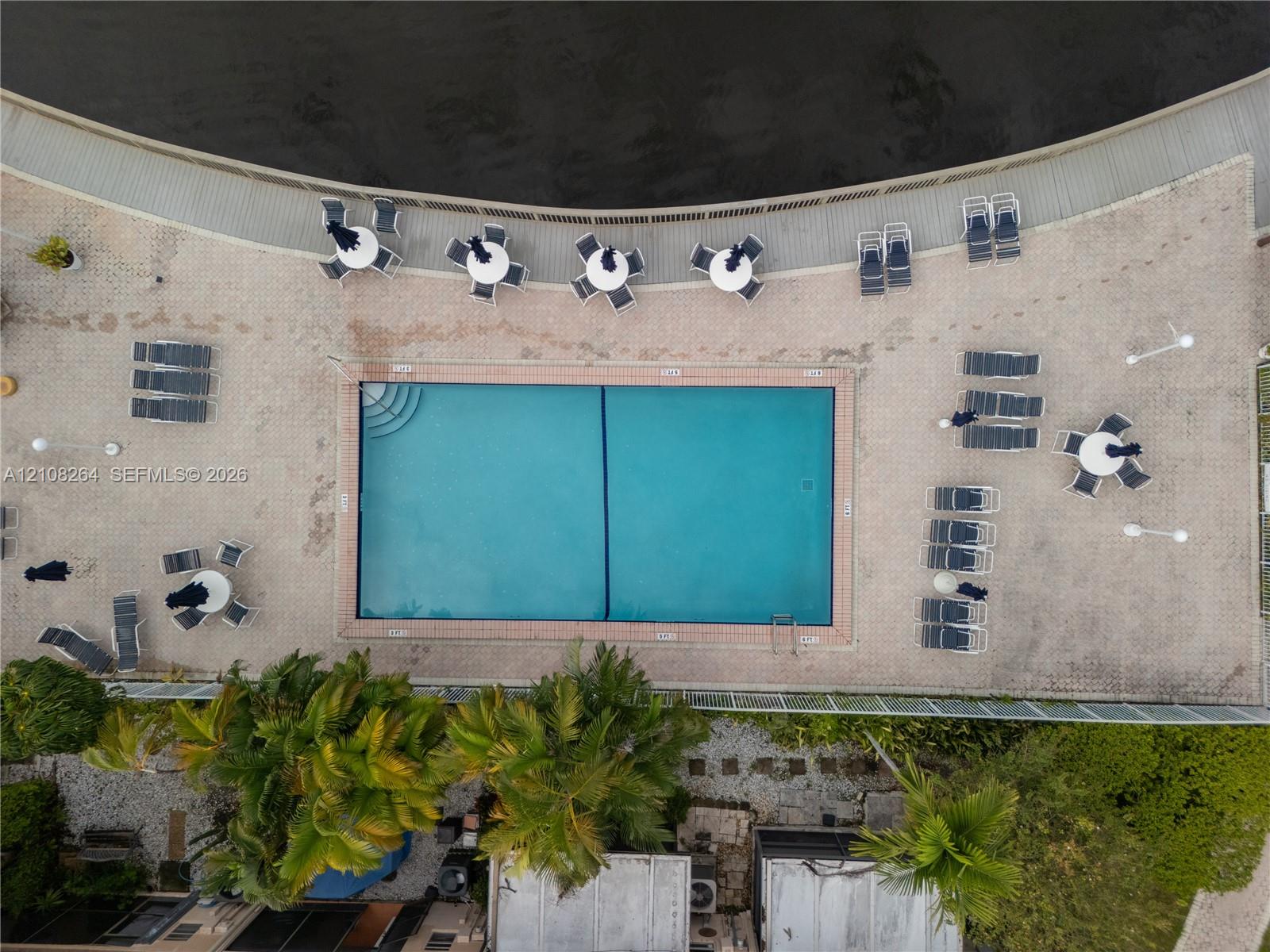 Rectangular swimming pool featuring a masonry surround, a curved wooden deck, and mature palm trees