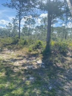 See details / 0 sq. ft. $ 2026-10-18 0 Photo