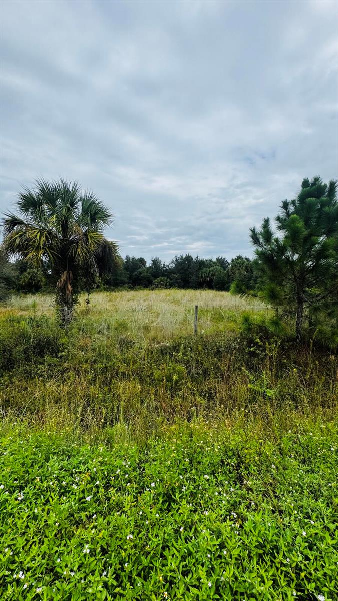 See details / 0 sq. ft. $ 2026-10-18 0 Photo