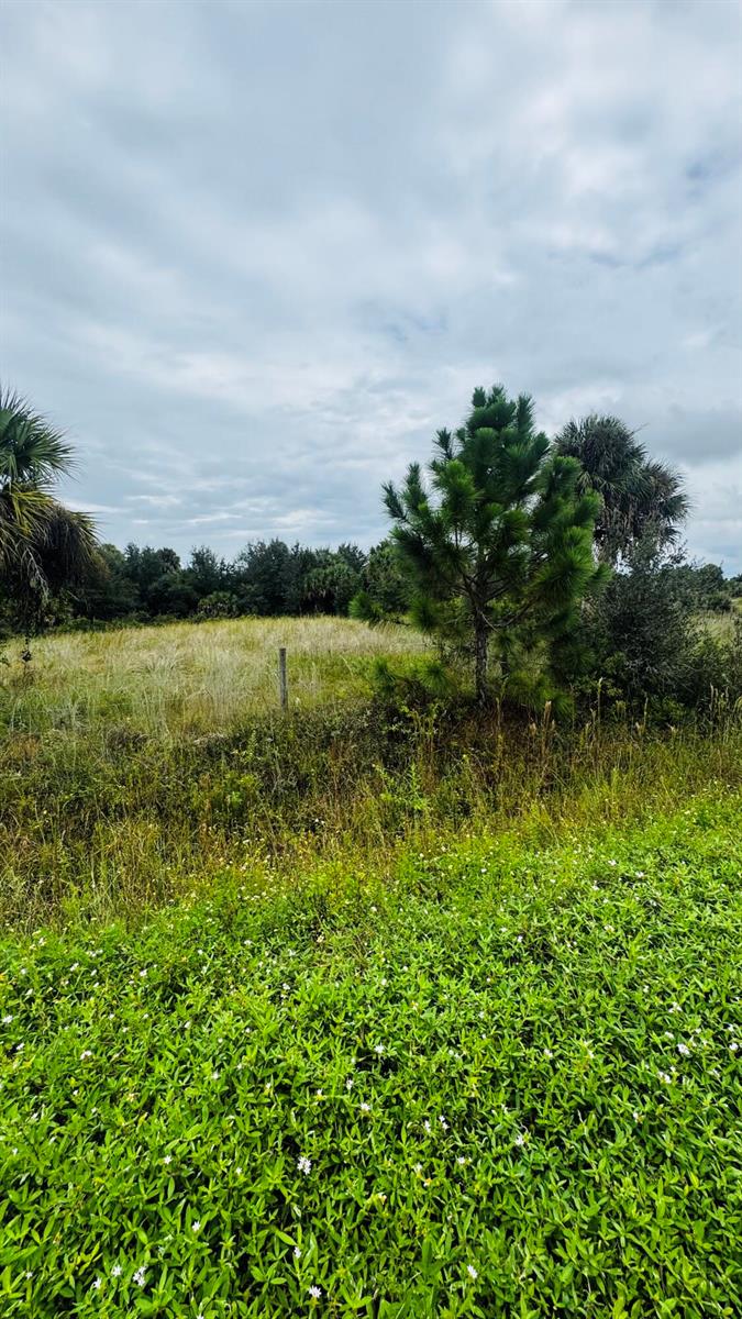 See details / 0 sq. ft. $ 2026-10-18 0 Photo