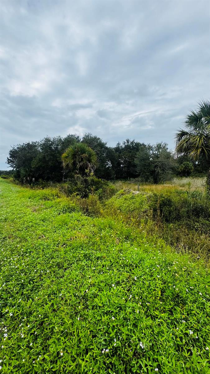 See details / 0 sq. ft. $ 2026-10-18 0 Photo