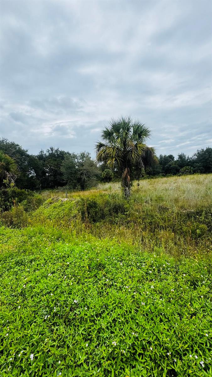 See details / 0 sq. ft. $ 2026-10-18 0 Photo