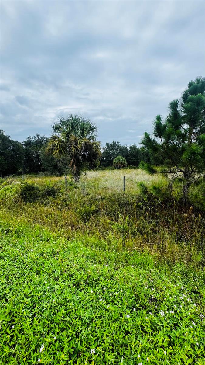 See details / 0 sq. ft. $ 2026-10-18 0 Photo