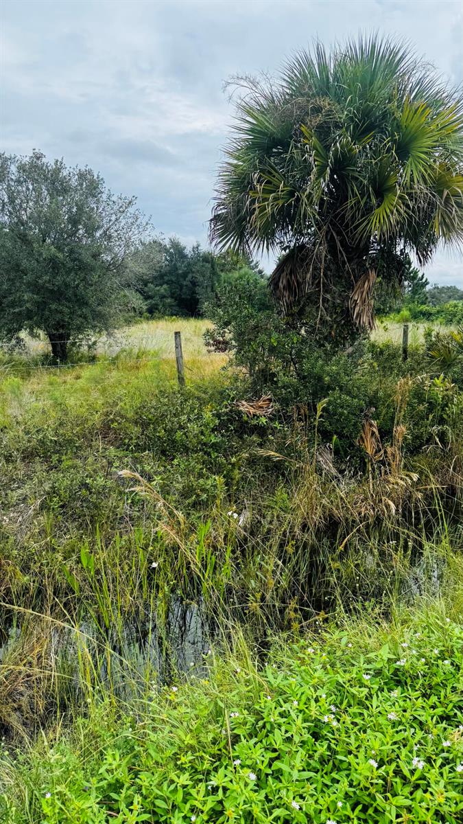 See details / 0 sq. ft. $ 2026-10-18 0 Photo