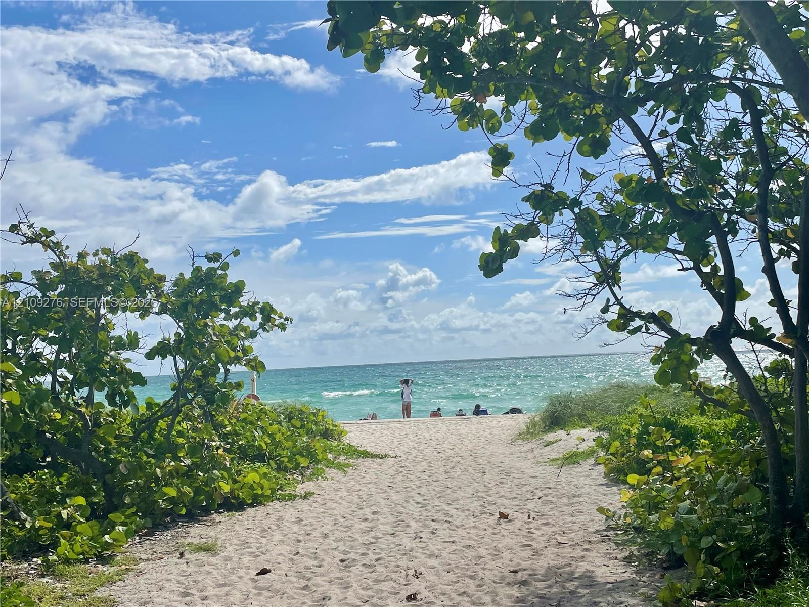Photo 34 of Collins Ave