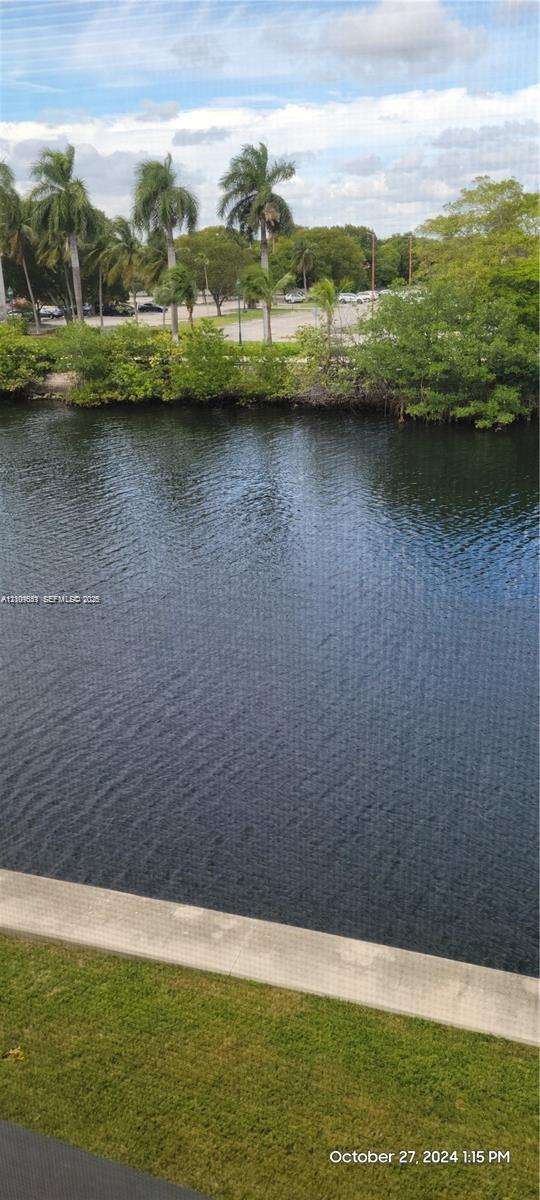 Waterfront scenery featuring a concrete bulkhead, manicured lawn, and native palm trees