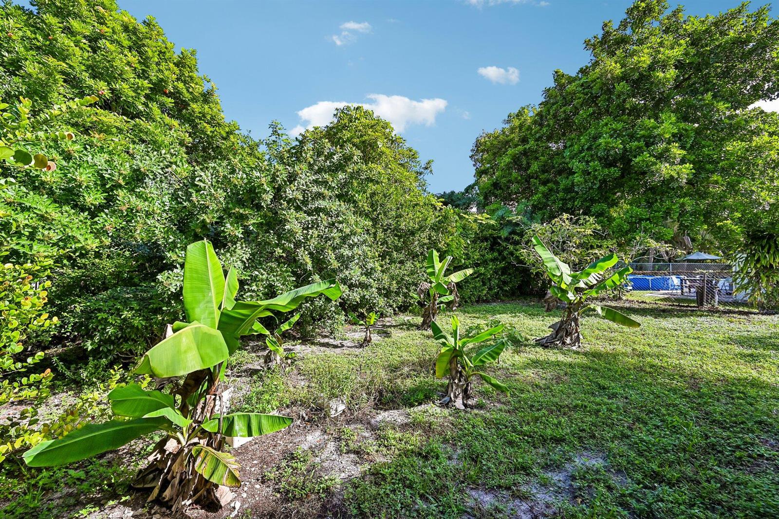 8283 3 / 2 1209 sq. ft. $ 2026-10-30 0 Photo