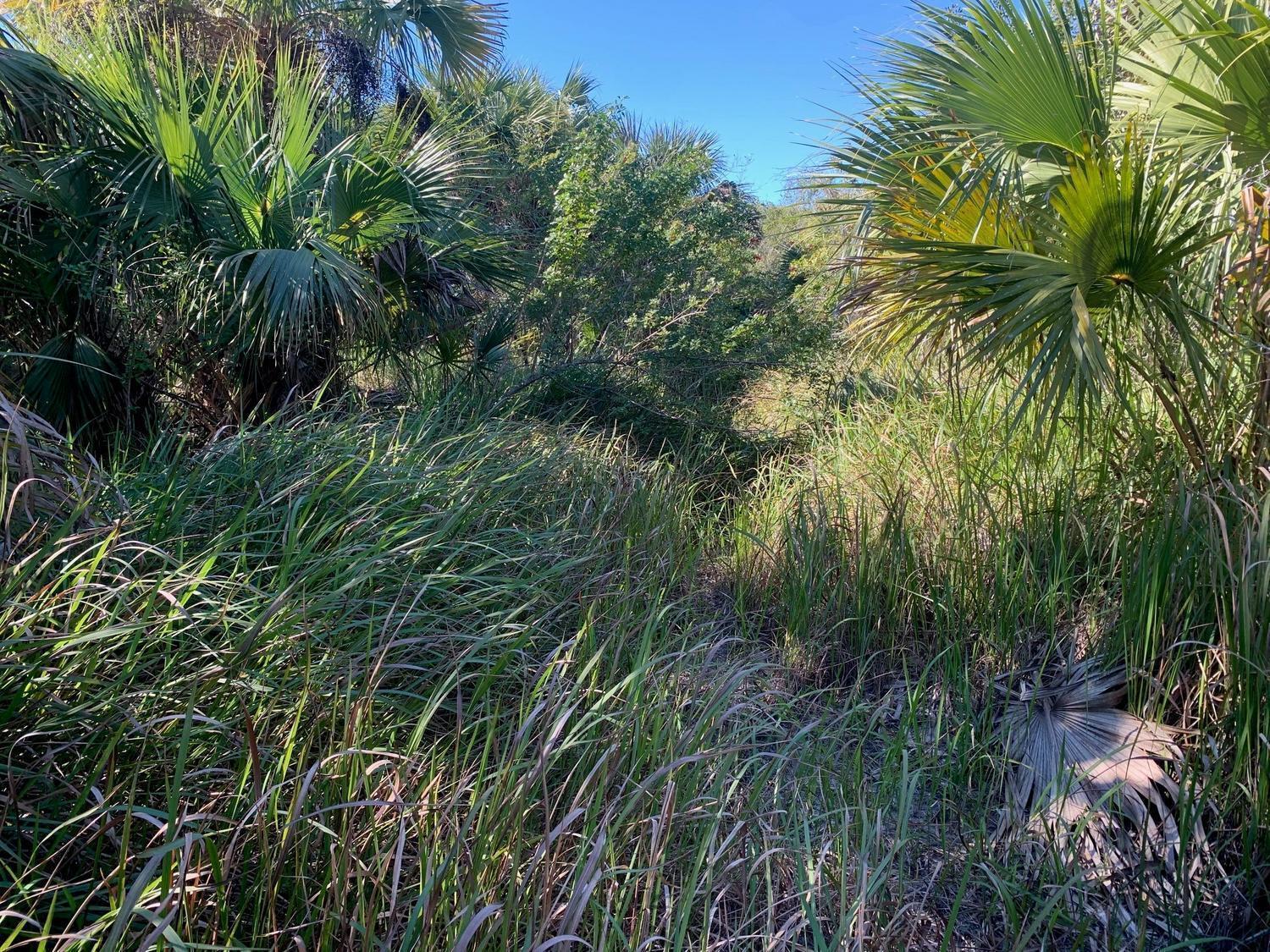   / 0  sq. ft. $ 2026-10-26 0 foto