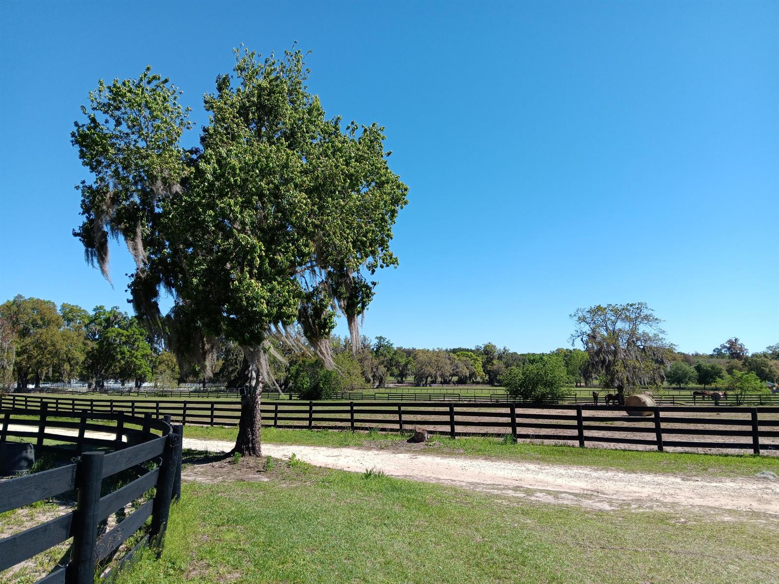   / 0  кв.футов $ 2026-10-26 0 Фото