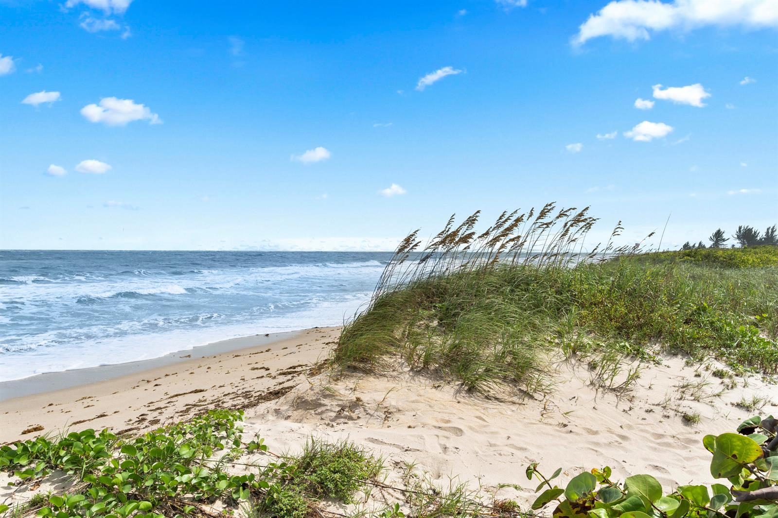 See details / 0 sq. ft. $ 2026-10-29 0 Photo