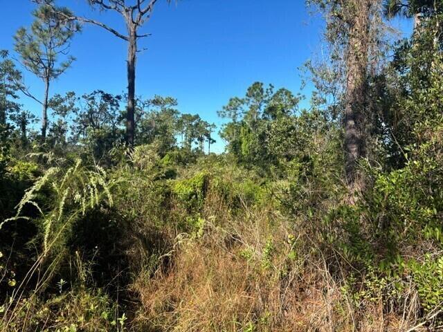   / 0  sq. ft. $ 2026-10-30 0 foto